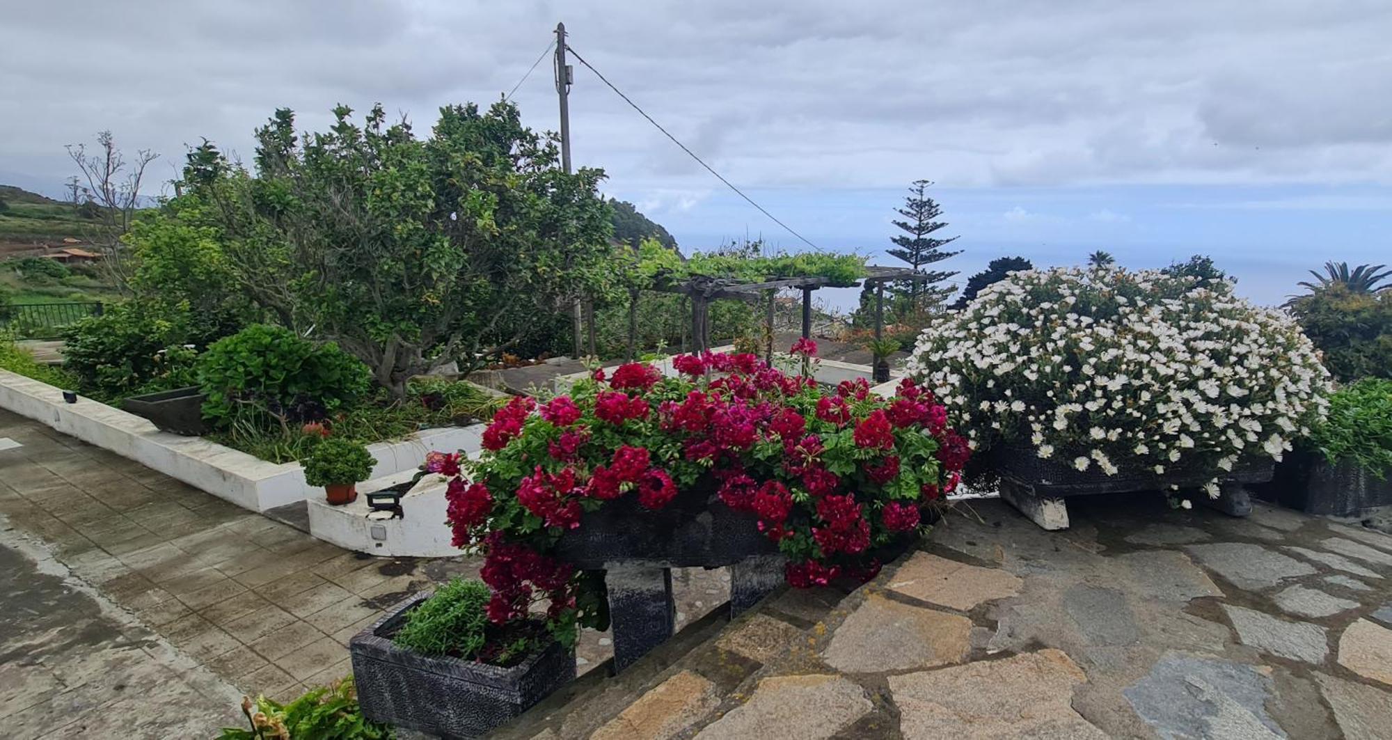 Vivienda Vacacional Finca Monterrey Mazo 部屋 写真