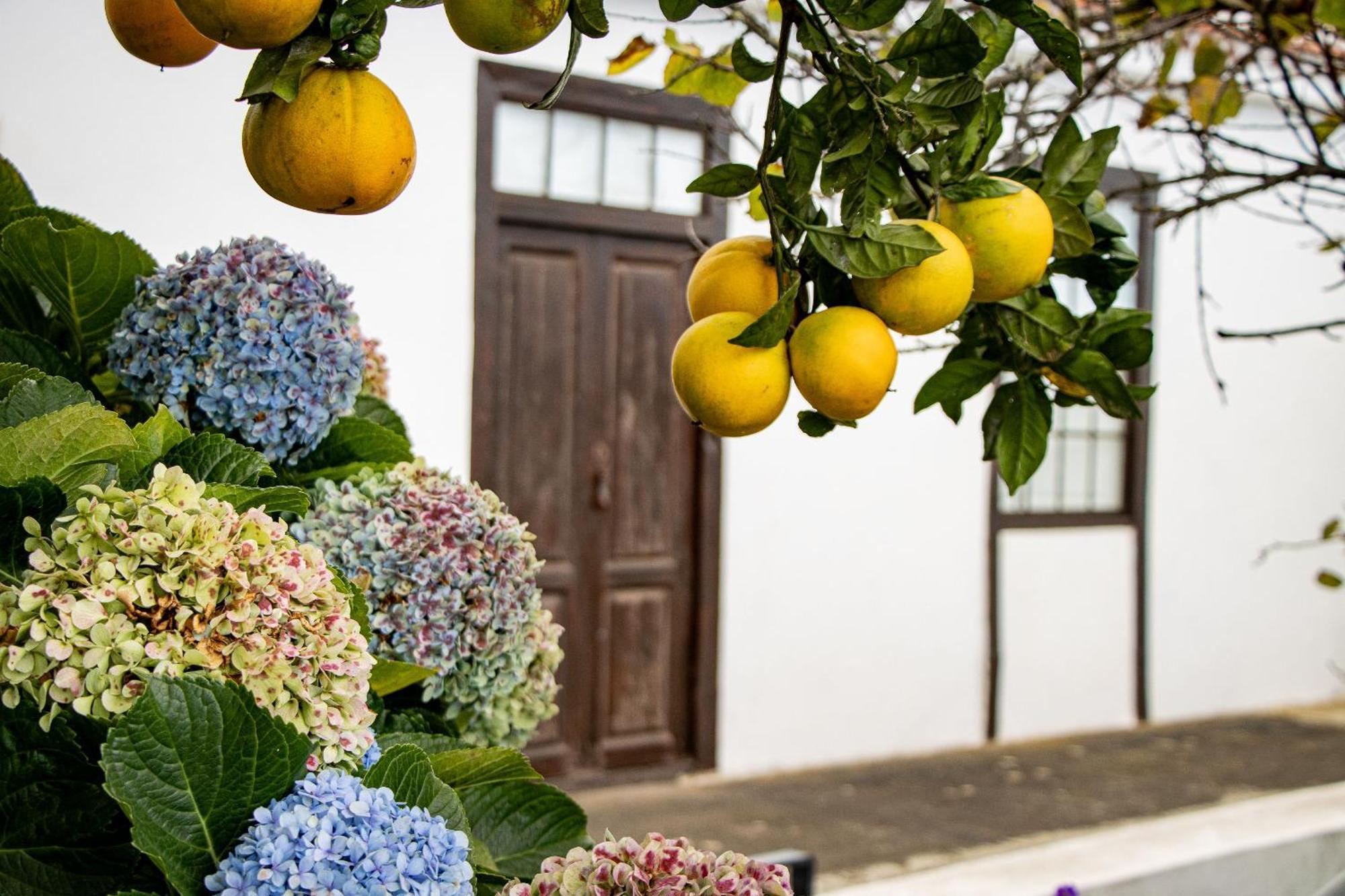 Vivienda Vacacional Finca Monterrey Mazo エクステリア 写真